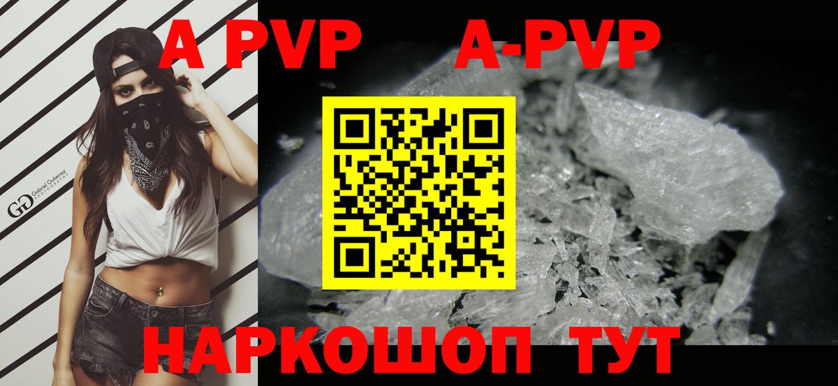 A PVP СК КРИС Алатырь